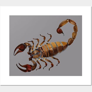 Scorpion Posters and Art